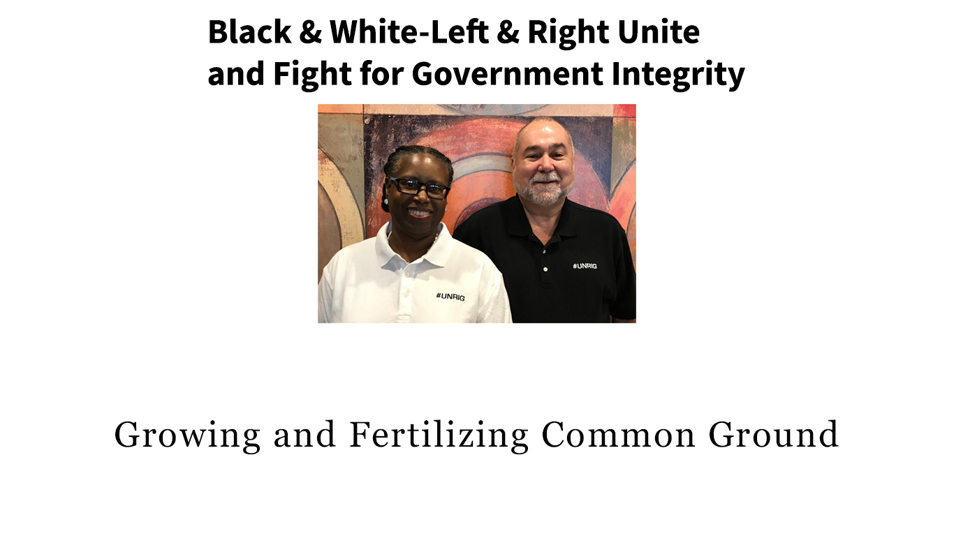 Black-White-Left-Right-Unite-and-Fight-for-Government-Integrity-25